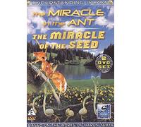 Understanding Islam - The Miracle Of The Ant [Reino Unido] [DVD]