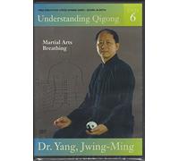 Understanding Qigong 6 [DVD] [Reino Unido]