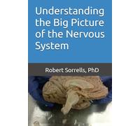 Understanding the Big Picture of the Nervous System