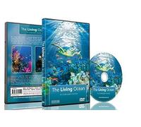 Underwater DVD- The Living Ocean - Relaxing Scenes of the Underwater World