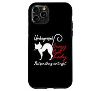Undiagnosed But Something Aint Right Funny Crazy Cat Lady Carcasa para iPhone 11 Pro