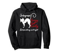 Undiagnosed But Something Aint Right Funny Crazy Cat Lady Sudadera con Capucha