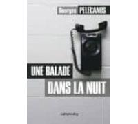 Une Balade Dans La Nuit