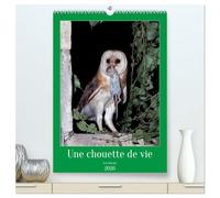 Une chouette de vie, les oiseaux (Calendrier mural 2026 DIN A2 horizontal) calendrier de bureau: Les chouettes qui peuplent notre environnement