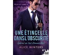 Une étincelle dans l'obscurité (parmi un tas d'emmerdes): Felix et Lane, T2