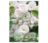 Une fête des roses (Calendrier mural 2026 DIN A2 horizontal), CALVENDO calendrier mensuel: La floraison des roses est toujours un festival pour les sens