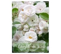 Une fête des roses (Calendrier mural 2026 DIN A4 horizontal), CALVENDO calendrier mensuel: La floraison des roses est toujours un festival pour les sens
