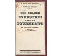 Une Grande Industrie Dans La Tourmente (ebook)