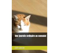 Une journée ordinaire au consulat