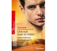 Une Nuit Avec Le Cheikh - Eblouissant Désir (ebook)
