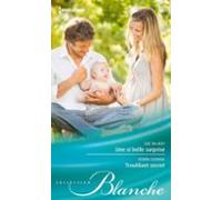 Une Si Belle Surprise - Troublant Secret (ebook)