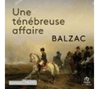 Une ténébreuse affaire