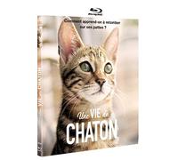 Une vie de chaton [Francia] [Blu-ray]