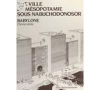 Une Ville En Mésopotamie Sous Nabuchodonosor Babylone (ebook)