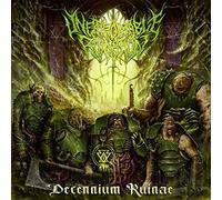 Unfathomable Ruination - Decennium Ruinae