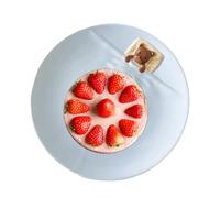 Ungtyb Round Ceramic Dinner Plates with Bear Design, Cute Serving Dish for Lunch, Breakfast, Desserts, Food Display, Home Dining, Kitchen Tableware for Everyday Use, 1 Piece