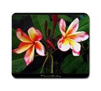 Unicorn Fantasy Princesa Magical Dreams Decor PC Mouse Pad 001, YT22, 220 * 180 * 3 mm