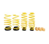 Unidad Ajustable Kit Muelles Resorte de Rosca Skoda Karoq [ ND7, NU7] 273100AY
