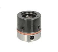 Unidad de control, inyección de combustible DELPHI 7183-165L-12B1