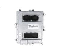 Unidad de control, inyección de combustible para IVECO TRAKKER I 7.79 2004-2007