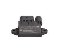 Unidad de control, tiempo de incandescencia BORG WARNER (BERU) GSE116