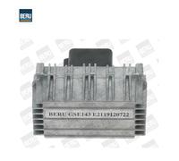 Unidad de control, tiempo de incandescencia BorgWarner (BERU) GSE143