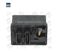 Unidad de control, tiempo de incandescencia BorgWarner (BERU) GSE150