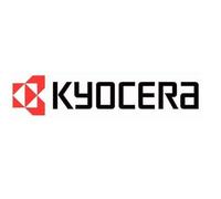 Unidad De Desarrollo Original Kyocera DV-53 Para FS 1550 1600 Caja Neutral