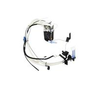 Unidad suministro combustible Conjunto De Bomba De Combustible De Gasolina Compatible Con Range Para Rover 4.2T 2002 2003 2004 2005 2006 2007 2008 2009 LR015177 WGS500150