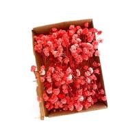 Unidades De Gypsophila Seca 100 Uds. Mini Flores Artificiales Rosas de Aliento bebé for Manualidades DIY, Decoraciones Relleno florero for el hogar Gypsophila Seca(Red with Box)