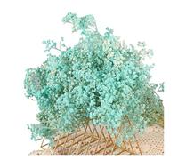 Unidades De Gypsophila Seca Ramos de Flores secas Gypsophila for bebé, Ramas Florales for decoración del hogar, Guirnalda Boda, , 30-100g(Color 9,About 60g)