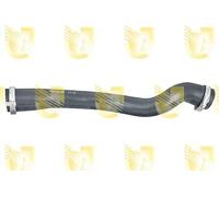 Unigom F8335 Manguito derecho Col.Turbo Focus III II 1.6 TDCi >04/13