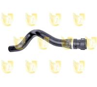 Unigom R4336 Manguito RIT.RISC. Clio II/Kang. 1,2 8v 99>