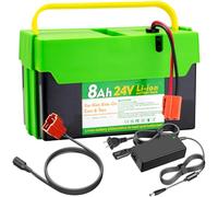 UNIKARO - Batería de iones de litio de 24 V 8 Ah con cargador de 2 A, repuesto para coches y juguetes para niños, alternativa al plomo-ácido