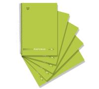 Unipapel - Pack 5 Cuadernos Hojas 1 Línea, Tamaño Folio, Papyrus Uniclasic