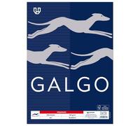 Unipapel - Paquete de Folios, 100 Hojas Papel Verjurado 100 gramos a4, Color Blanco, Perfectos para Comunicaciones Sociales y Corporativas: Bodas, Comuniones, Eventos, Certificado FSC