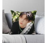 UNIQ Wang Yibo - Funda de almohada decorativa de poliéster y lino y terciopelo, con cremallera, para sofá
