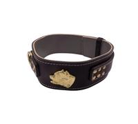 Unique American Bully Gold - Collar de perro de cuero resistente de 2.5 pulgadas de ancho con diseño de cabeza de matón americano (mediano: 20 a 25 pulgadas, negro)