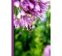 Unique Bright Allium and Bee Flower Matte Cover College Ruled 200 Page 7"x10" Hardcover Floral Botanical Journal Diary Notebook