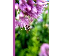 Unique Bright Allium and Bee Flower Matte Cover lined 200 Page 5.5" x 8.5” Hardcover Floral Botanical Journal Diary Notebook