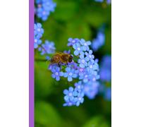 Unique Bright Forget Me Not and Bee Flower Matte Hardcover lined 200 Page 5.5" x 8.5” Floral Botanical Journal Diary Notebook