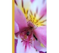 Unique Bright Pink Lily and Bee Flower Matte Cover lined 200 Page 5.5" x 8.5” Hardcover Floral Botanical Journal Diary Notebook