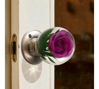Unique Decorative Door Handle, Round Glass Bead Door Handle, Retro Round Resin Epoxy Flower Door Knob Retro, Animal Designs adds Charm to Modern and Classic Homes Nature Home Decor(#11,2.36in/6cm)