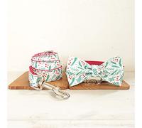 Unique Design Fashionable Bow Tie Handmade Engraving Dog Collar Dog Collar and Leash Set Bowknot (Collar Leash Bow Tie Large)
