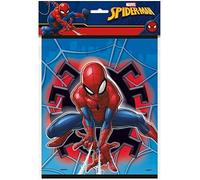 Unique Spider-Man Loot Bags [8 per Pack]