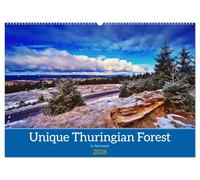 Unique Thuringian Forest (Wall Calendar 2026 DIN A2 landscape), CALVENDO 12 Month Wall Calendar: Insights into the landscapes of the Thuringian Forest