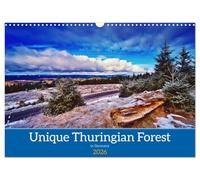 Unique Thuringian Forest (Wall Calendar 2026 DIN A3 landscape), CALVENDO 12 Month Wall Calendar: Insights into the landscapes of the Thuringian Forest