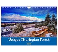Unique Thuringian Forest (Wall Calendar 2026 DIN A4 landscape), CALVENDO 12 Month Wall Calendar: Insights into the landscapes of the Thuringian Forest