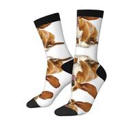 Unisex Running Calcetines Orejas De Perro Basset Hound Felices Animales Vida Silvestre Calcetine Trabajo Novedosos Calcetines Deportivos Para Running Diario Senderismo 40Cm