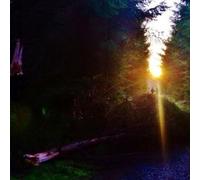 United Bible Studies - Rosary Bleeds [Import] [Vinilo]